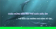 Hãy cùng khám phá cơ chế hoạt động làm sạch vượt trội của bể rửa siêu âm.